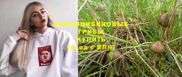 стаф Абдулино