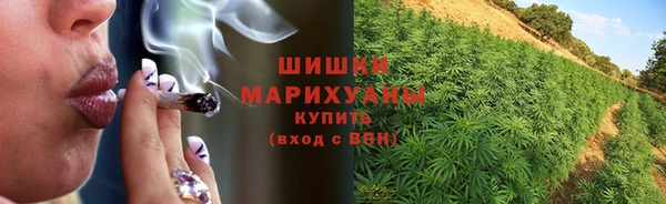 стаф Абдулино