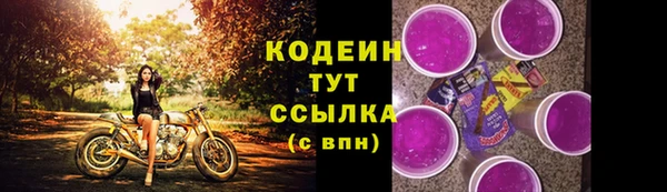 прущие грибы Михайловка