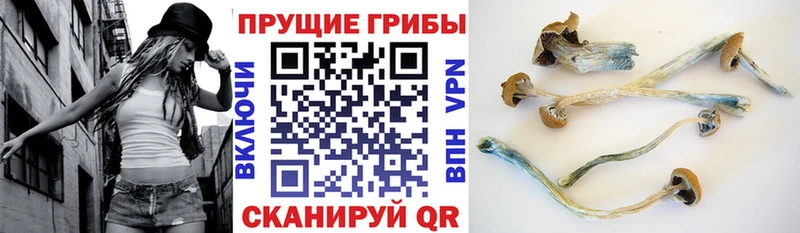 наркошоп  Никольск  кракен как войти  Галлюциногенные грибы MAGIC MUSHROOMS 