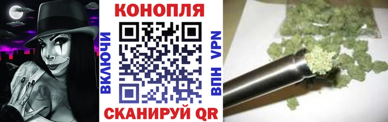 как найти наркотики  Никольск  Каннабис семена 